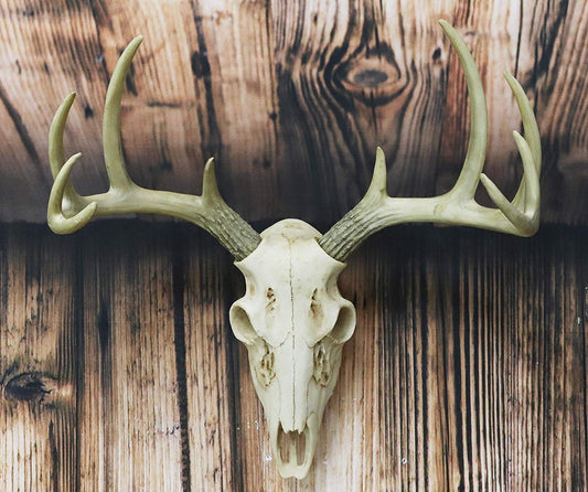 Ebros Rustic Hunter Rack Deer Skull Antler Wall Plaque Decor 10 Point Buck Figurine - Ebros Gift