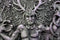 Ebros Wicca Horned God Cernunnos Wall Plaque Masculine Divinity Neopaganism