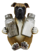 Ebros Fawn Boxer Puppy Dog Hugging Glass Salt Pepper Shakers Holder 6.25"High