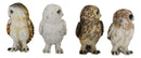 Realistic Colorful Nocturnal Snowy Barn Great Horned Owl Birds Figurine Set of 4
