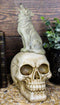 Gothic Full Moon Howling Gray Wolf Sitting On Graveyard Macabre Skull Figurine