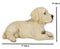 Lifelike Adorable Labrador Puppy Dog Lying On Belly With Crossed Arms Figurine