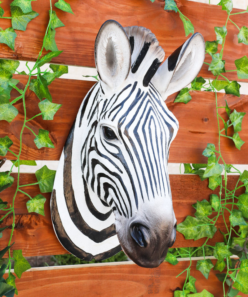 Madagascar Large Zebra Head Wall Decor Plaque 16"Tall Taxidermy Decor Sculpture