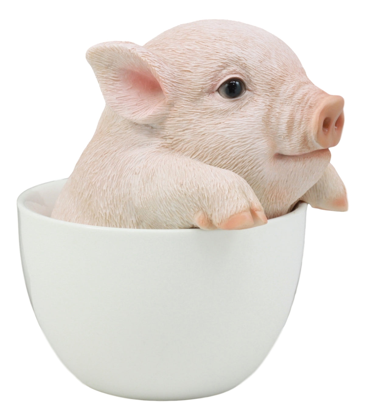 Ebros Adorable Teacup Pig 5.25"H Realistic Animal Collectible Statue with Glass Eyes - Ebros Gift