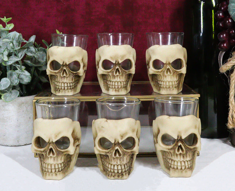 Ebros Grinning Skull Shot Glass Set of 6 Altar of Skulls Skeleton Ossuary Skull