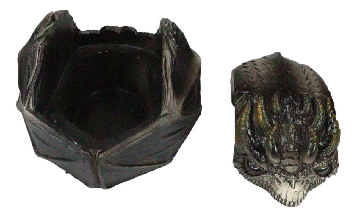 Fear The Dragon Green Hibernating Small Trinket Jewelry Box Stanley Morrison