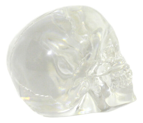 Ebros Small Clear Translucent Witching Hour Gazing Skull Acrylic Resin Cranium