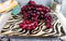 Ebros Giant Cat Tiger Prints Large Square Dinner Plate Set of 2 10.75"Plates