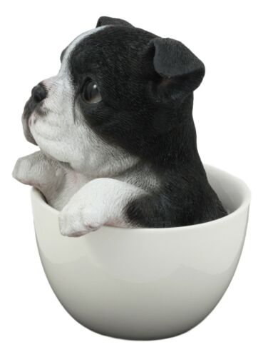 Ebros Realistic Boston Terrier Teacup Statue Pet Pal Tuxedo Gentleman Dog Figurine