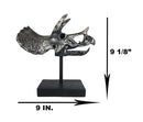 Jurassic '3 Horns' Triceratops Dinosaur Fossil Skeleton Statue With Stand 9"L