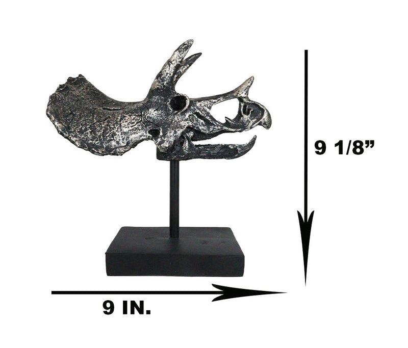 Jurassic '3 Horns' Triceratops Dinosaur Fossil Skeleton Statue With Stand 9"L