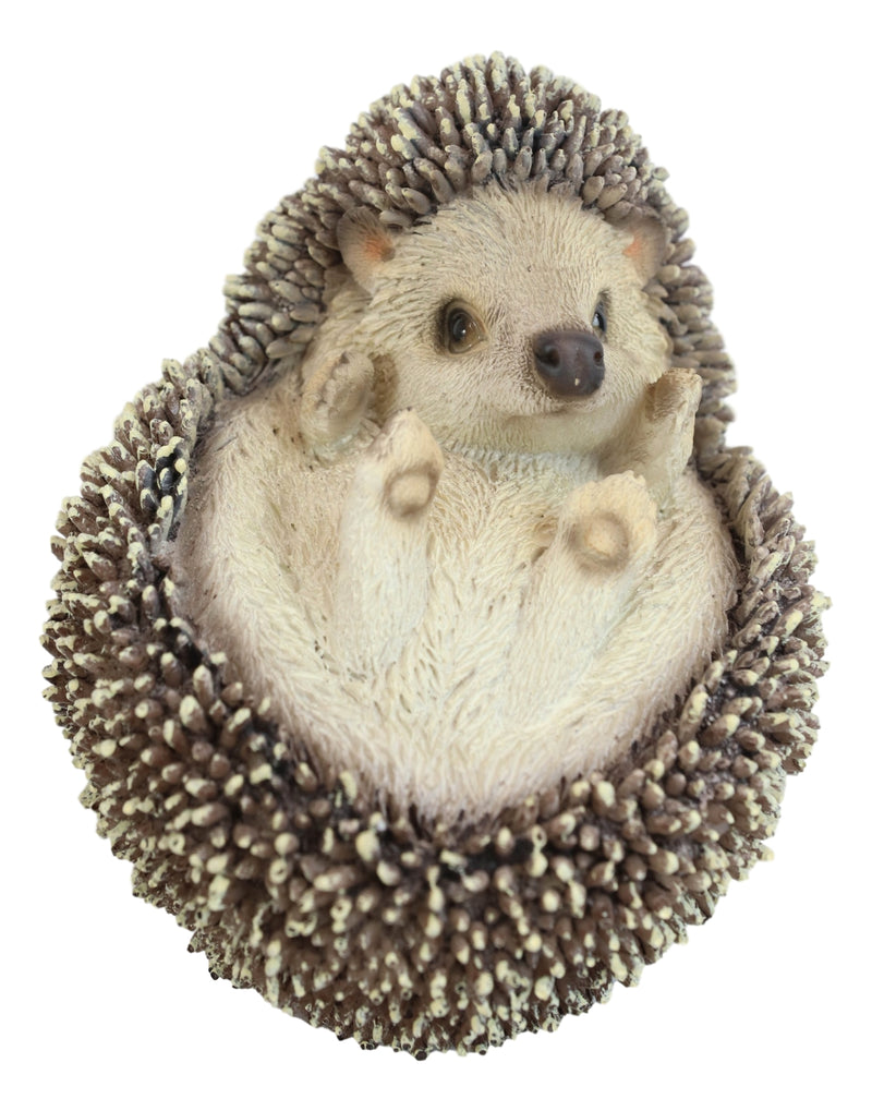 Lifelike Realistic Spinal Mammal Baby Hedgehog Lying On Back Decorative Figurine
