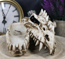 Fossil Skull Smoke Fire Breath Spiked Dragon Incense Holder Burner Figurine Box