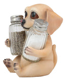 Ebros Pup And Spice Wide Eyed Labrador Puppy Dog Glass Salt & Pepper Shakers Set