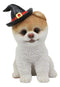 Halloween Boo The World's Cutest Pomeranian Dog Statue Pet Pal Dogs Collectible