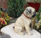 Ebros GiftLarge Adorable Pug Dog Garden Greeter Statue With Jingle Collar 11.25" Tall