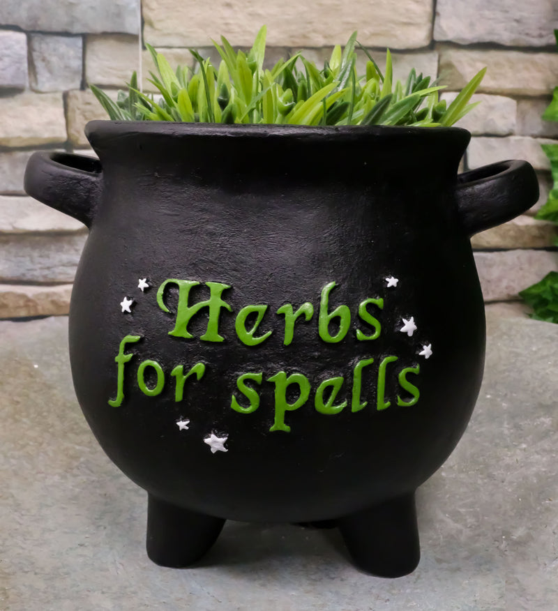 Green Thumb Witch Gardening Black Herbs For Spells Cauldron Planter Pot 7.5"D
