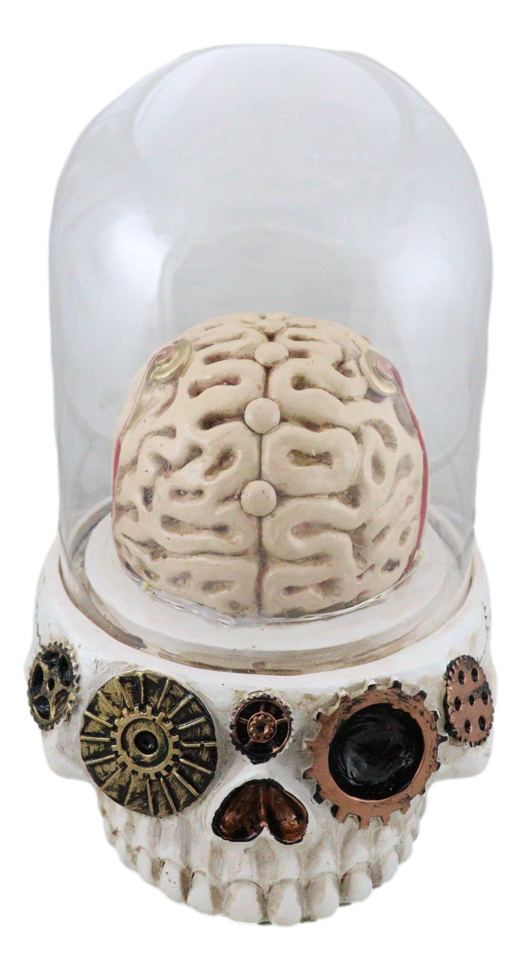 Steampunk Apothecary Gearwork Skull With Brains In LED Light Cloche Glass Dome