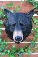 Ebros Large Olympic Black Bear Head Wall Decor Plaque 16"Tall Taxidermy Bust