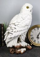 Mystical White Snow Owl Bird Statue 12.25"Tall Nocturnal Bird Wildlife Owl Decor