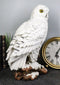 Mystical White Snow Owl Bird Statue 12.25"Tall Nocturnal Bird Wildlife Owl Decor