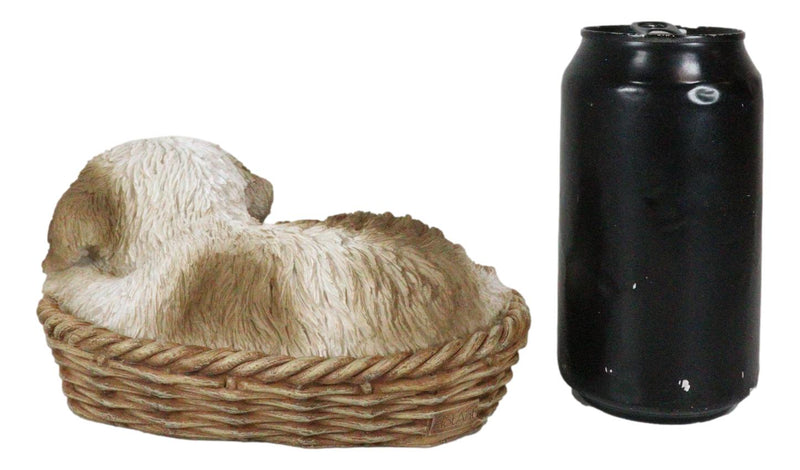 Ebros Realistic Life Like Shih Tzu Sleeping In Wicker Basket Statue Puppy Dog Figurine