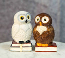 Snow White And Great Horned Brown Owls On Books Ceramic Salt Pepper Shakers Set