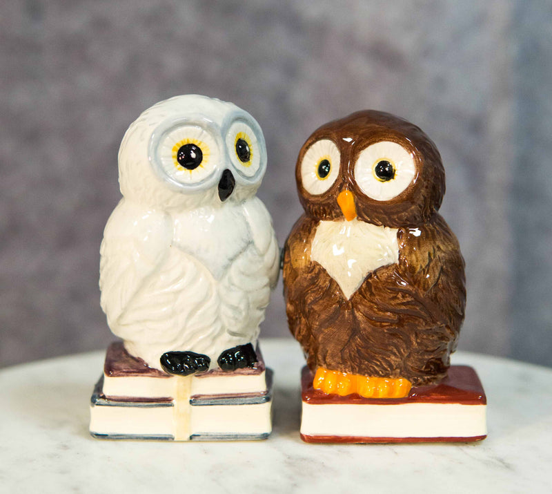 Ebros Snow & Brown Owl Bibliography Of Wisdom Ceramic Salt Pepper Shaker Set