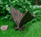 Ebros 7" Long Metamorphosis Flitting Butterfly Bronzed Decorative Garden Statue
