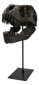 Jurassic Tyrannosaurus Rex T-Rex Faux Fossil Skull With Pole Display Mount 11.5"