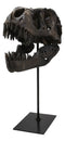 Jurassic Tyrannosaurus Rex T-Rex Faux Fossil Skull With Pole Display Mount 11.5"