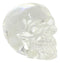 Ebros Small Clear Translucent Witching Hour Gazing Skull Acrylic Resin Cranium