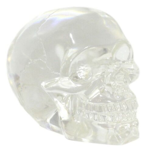 Ebros Small Clear Translucent Witching Hour Gazing Skull Acrylic Resin Cranium