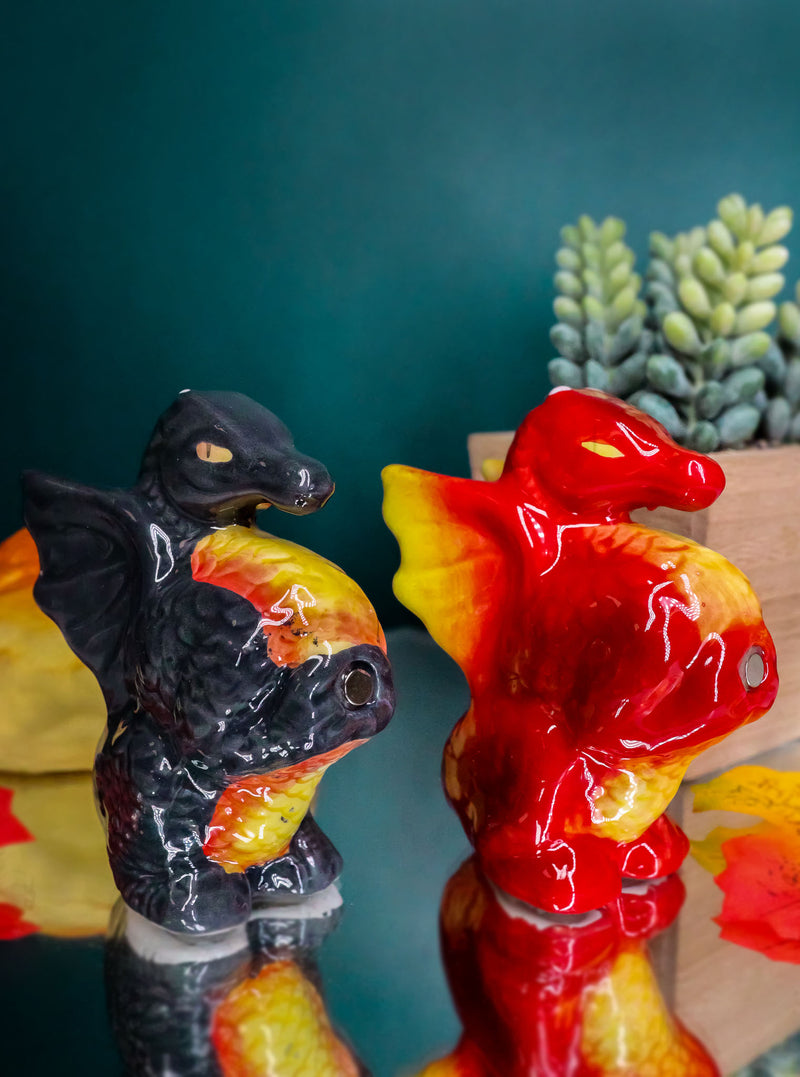 Ebros Twin Feng Shui Yin Yang Dragons Ceramic Magnetic Salt Pepper Shakers Set