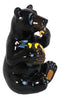 Western Rustic Black Bear Eating Honey From Honeycomb Beehive Figurine Bears