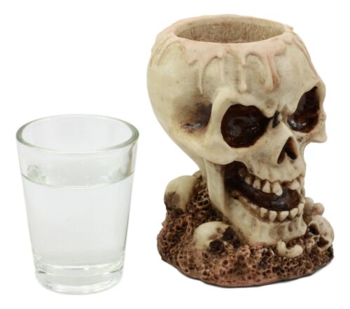 Gothic Ossuary Graveyard Melting Skull Shot Glass Holder Figurine 5"Tall Liquor