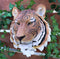 Ebros Orange Bengal Tiger Wall Bust Sculpture Tropical Jungle Predator Figure
