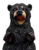 Ebros Gift Big Black Bear Wine Oil Bottle Holder Figurine 10"Long Home Decor