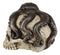 Ebros Kraken Octopus Wrapping Around Human Skull Decorative Figurine 8"L