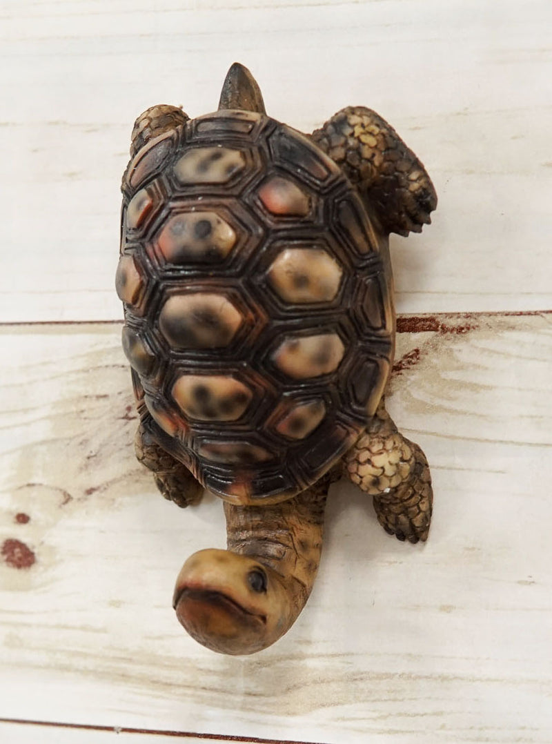 Nautical Marine Brown Long Necked Tortoise Rustic Wall Hook Hanger Figurine