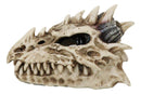 Fossil Skull Smoke Fire Breath Spiked Dragon Incense Holder Burner Figurine Box