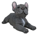Realistic Lifelike Gray French Bulldog Puppy Sitting On Belly Figurine Frenchie