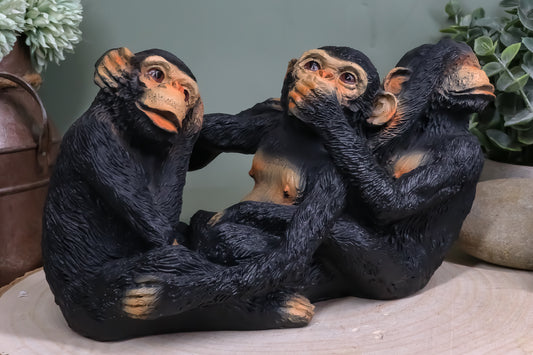 Ebros Whimsical See Hear Speak No Evil Monkeys Of The Jungle Figurine Set of 3