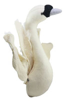 Ebros Fiona Walker England Handmade Organic Baby Winged Swan Head Wall Decor