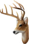 12 Point Buck Trophy Taxidermy Wall Decor Deer Head W/ Antlers Sculpture Plaque