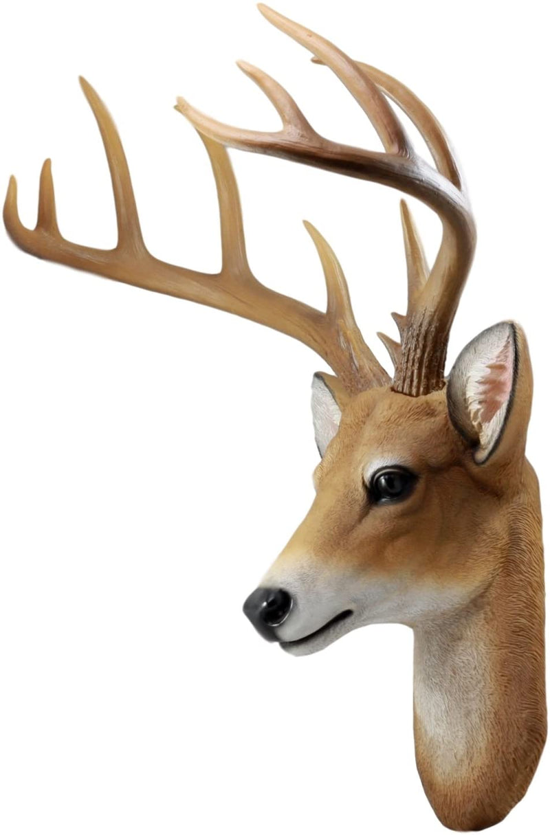 12 Point Buck Trophy Taxidermy Wall Decor Deer Head W/ Antlers Sculpture Plaque