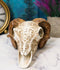 Gothic Macabre Ammon Cultic Tribal Tooled Tattoo Scrimshaw Ram Skull Figurine