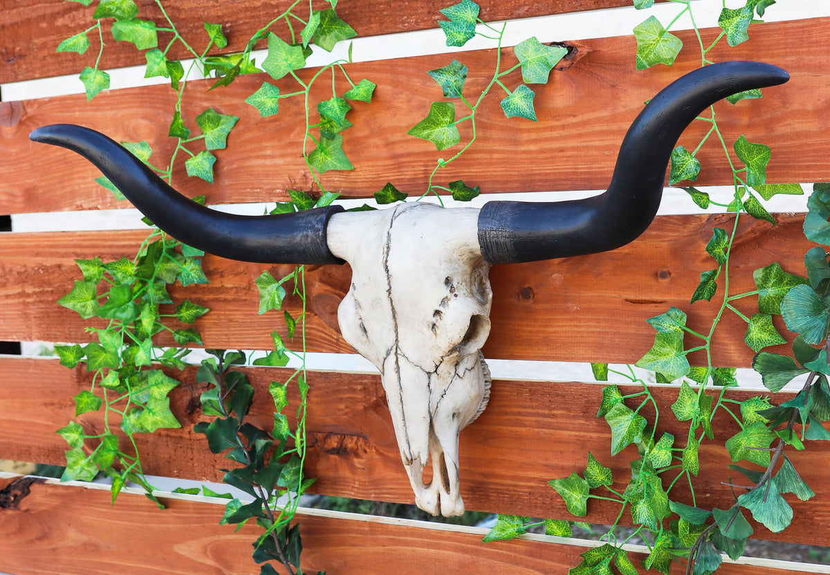 Ebros Large 27"Wide Longhorn Steer Cow Skull Wall Head Hanging Sculpture Plaque