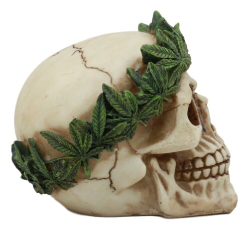 Pot Head Skull Statue 6"Long Gothic Skull With Weed Leaf Laurel Resin Figurine