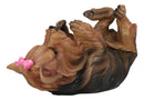 Ebros Yorkie Canine Dog Wine Bottle Holder Figurine 10.5" Long